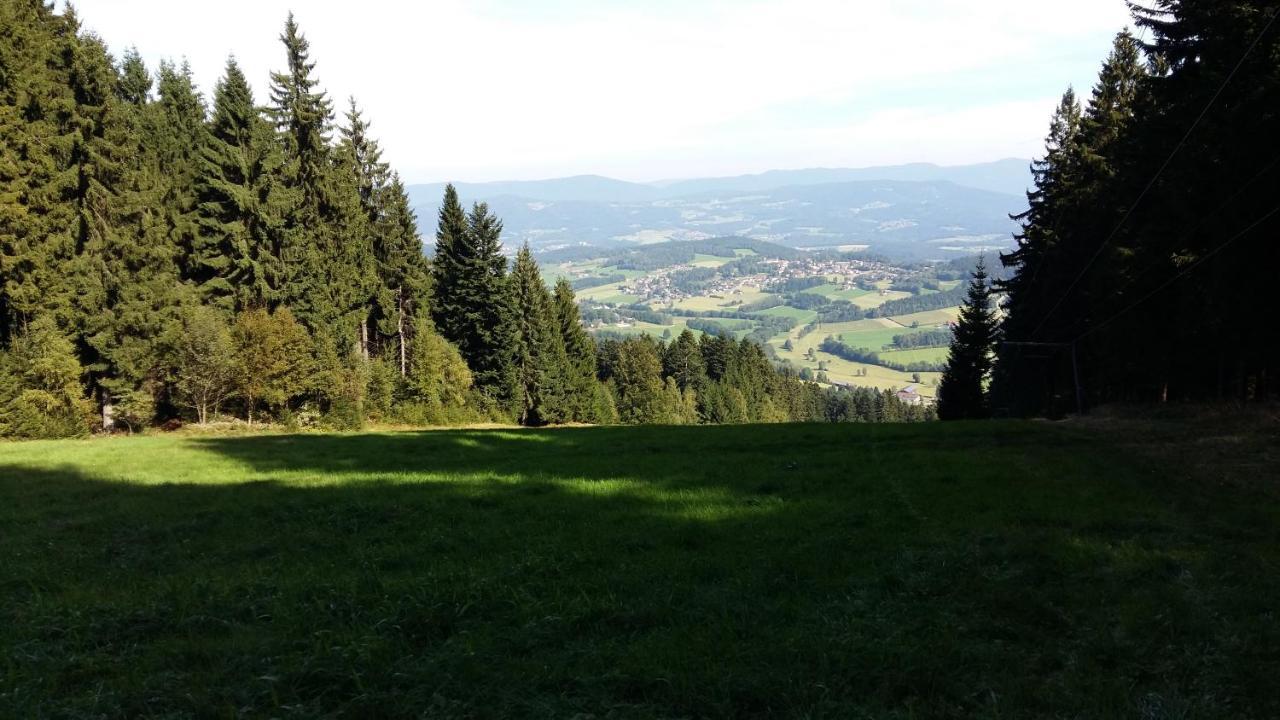 Herzerl Apartament Sankt Englmar