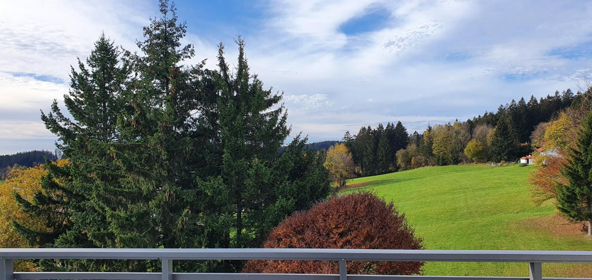 Herzerl Apartament